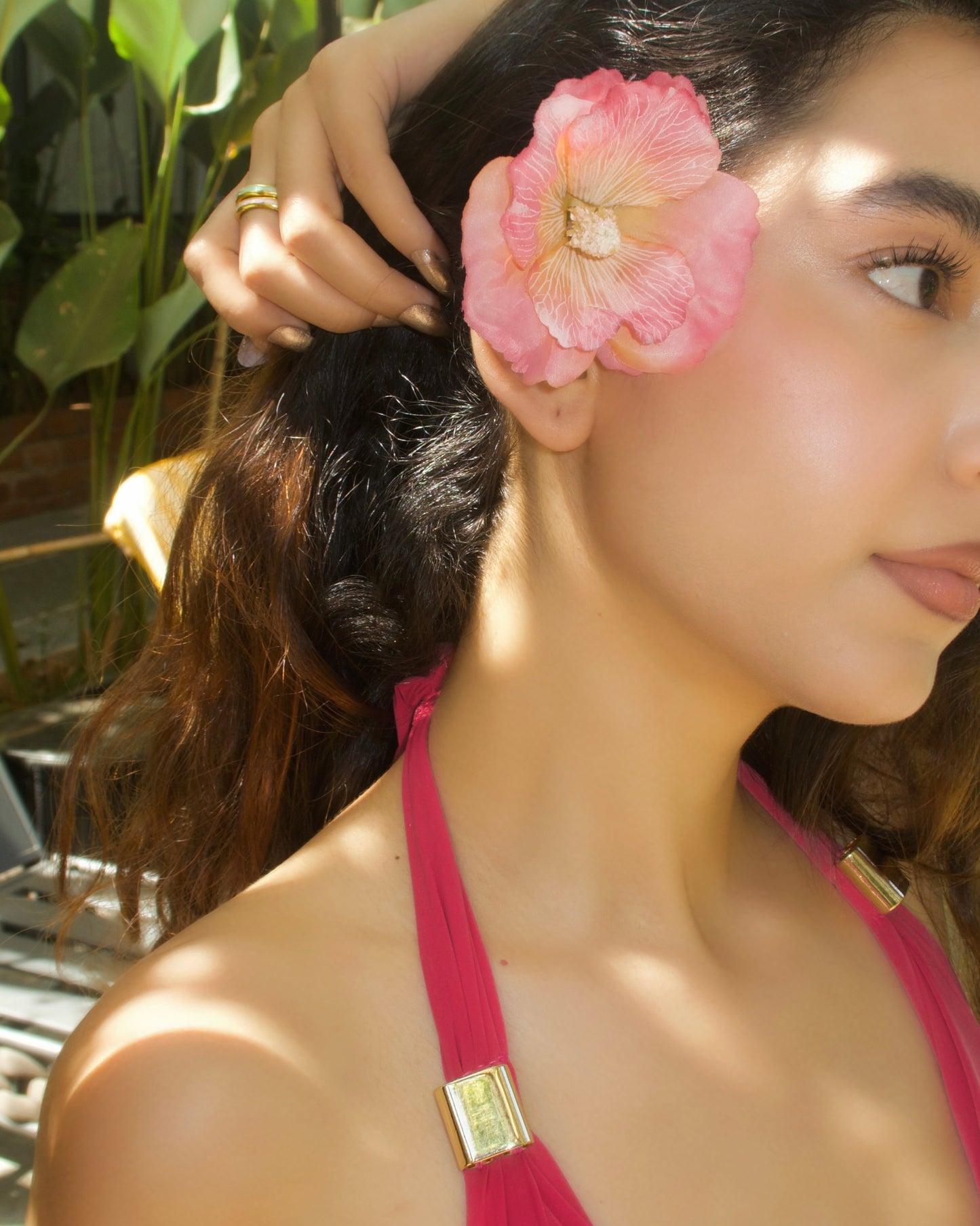 Orchid Top